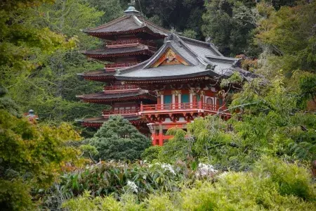 Japanese Tea Garden